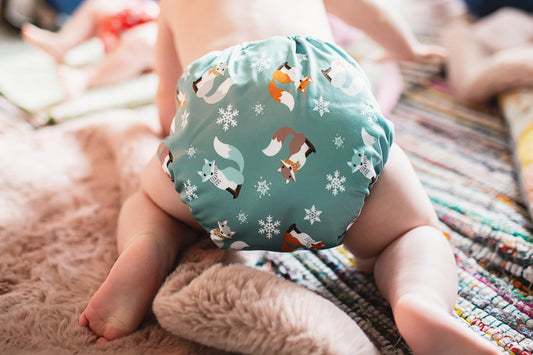 Baba+Boo One Size - Frosty Foxes