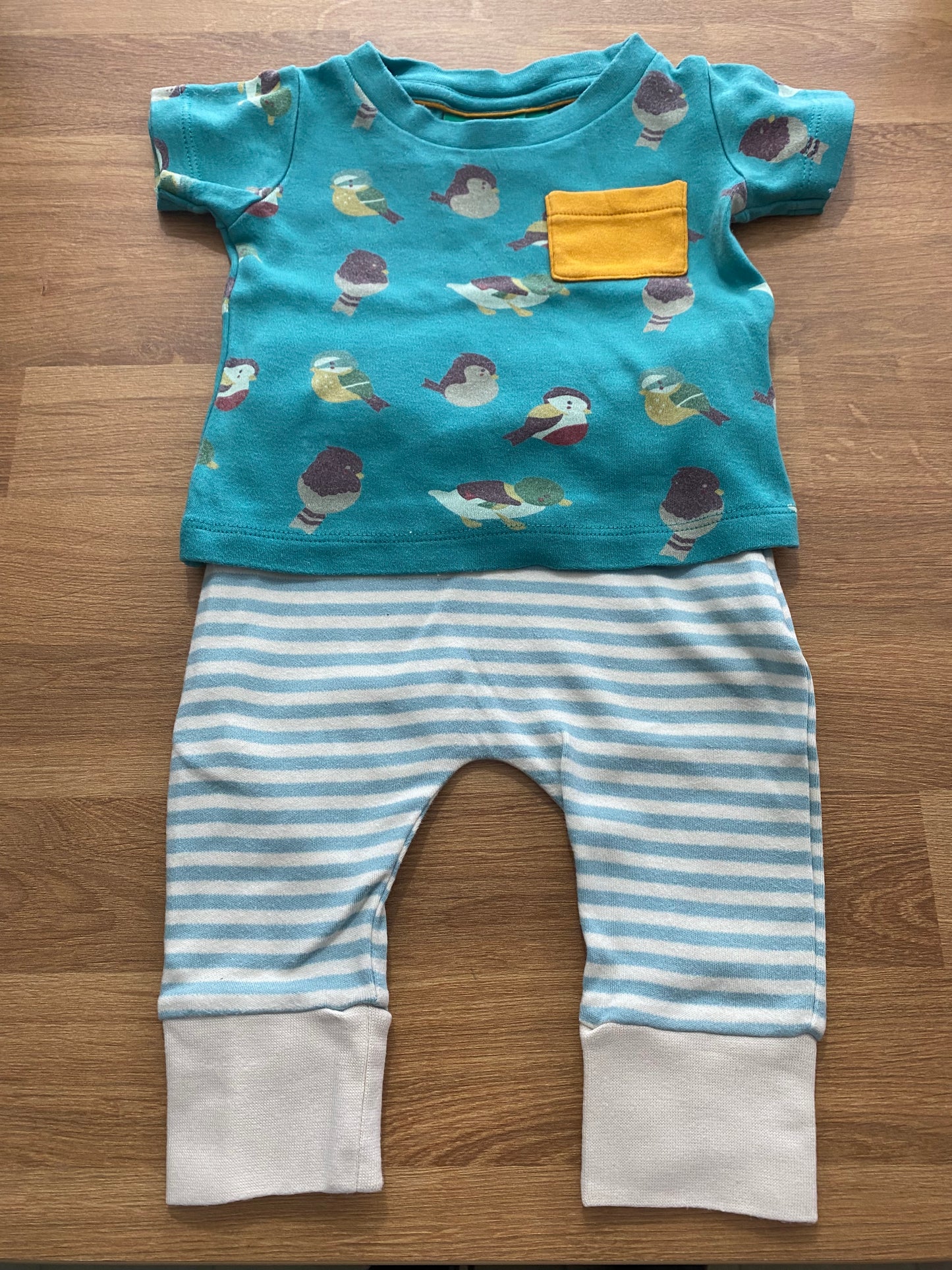 Little Green Radicals two piece set