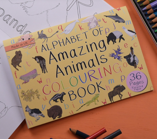 Alphabet of Amazing Animals Colouring Book