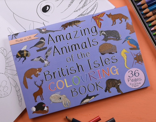 Amazing Animals of the British Isles Colouring Book