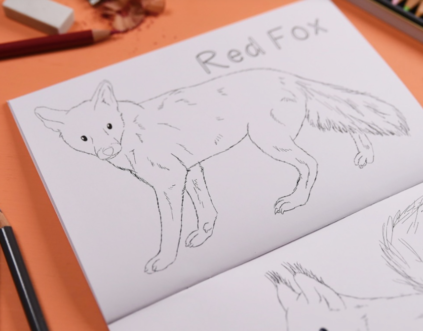 Amazing Animals of the British Isles Colouring Book