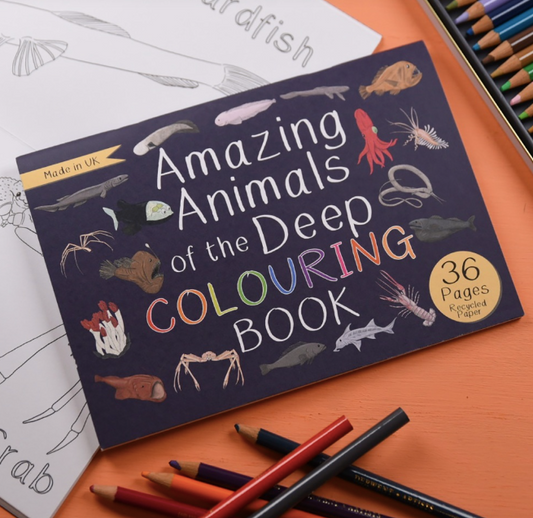 Amazing Animals of the Deep Colouring Book