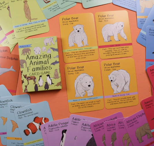 Amazing Animal Families Card Game