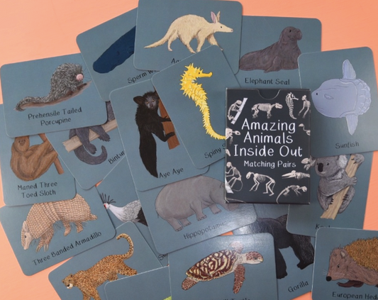 Amazing Animals Inside Out Matching Pairs
