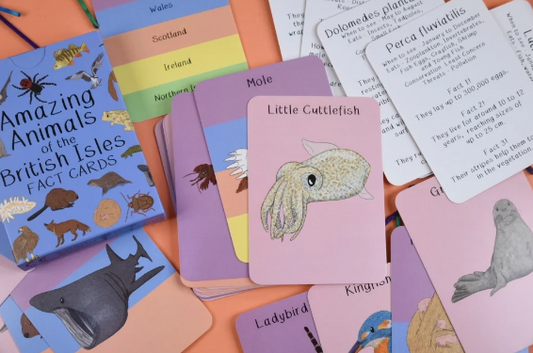 Amazing Animals of the British Isles Fact Cards