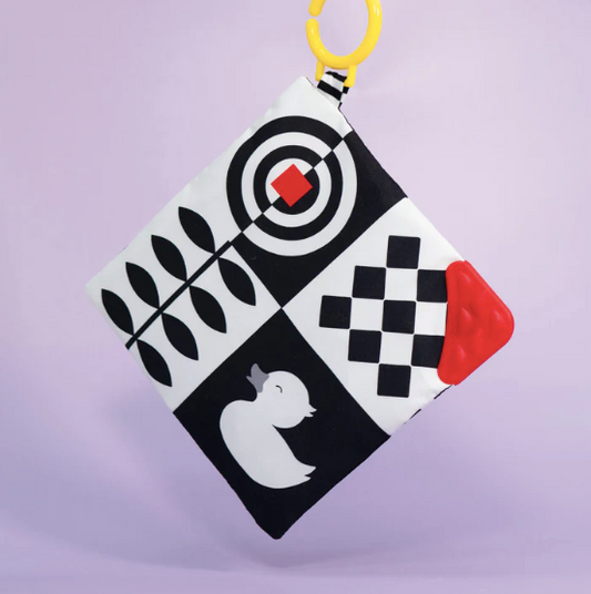 Baby Sensory Crinkle Toy