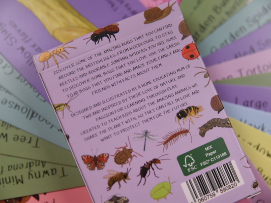 Amazing British Bugs ID Cards