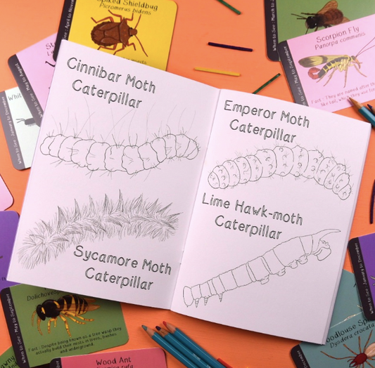 Amazing British Bugs Colouring Book