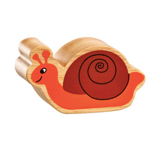 Brown and Orange Snail