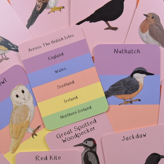 Amazing Birds of the British Isles Fact Cards