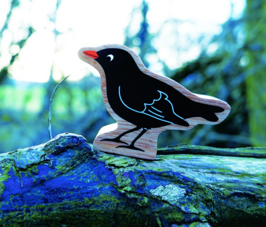 Black Blackbird