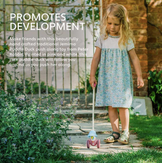 Jemima Puddle-Duck Push Along