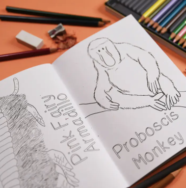 Amazing Animals Set One Colouring Book