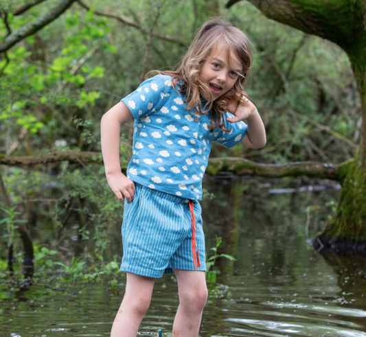 Horizon Blue Striped By The Sea Twill Shorts