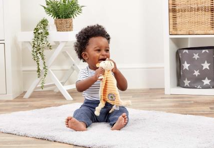 Hundred Acre Wood Tigger Comfort Blanket