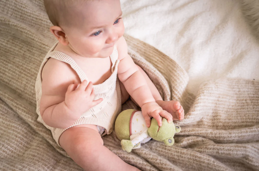 Gemba the Frog Chimeball