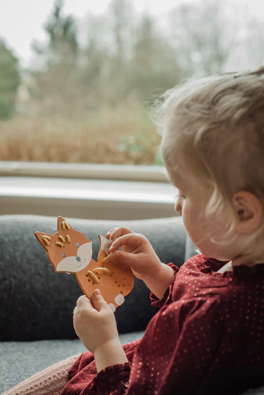 Woodland Animals Stitching Kit