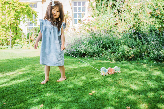 Pull Along Wooden Birdies