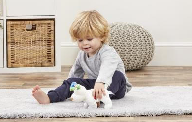 The Snowdog Bean Toy