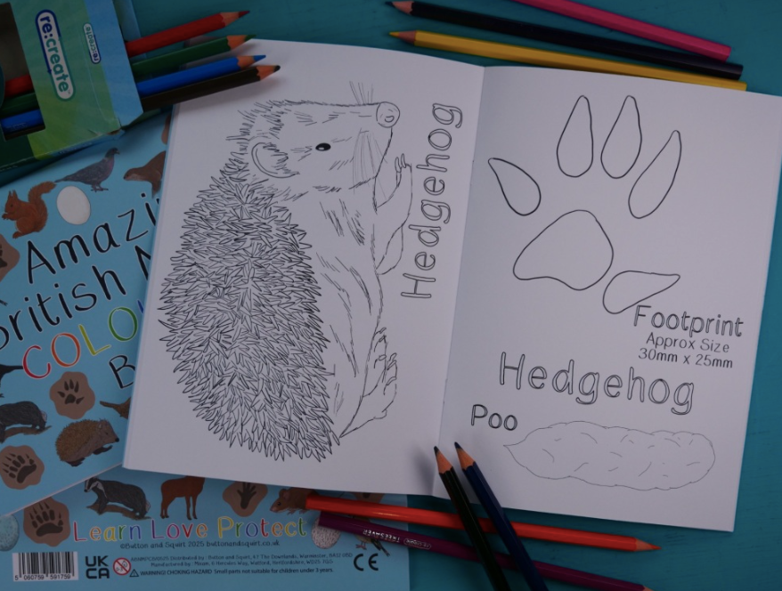 Amazing British Nature Colouring Book