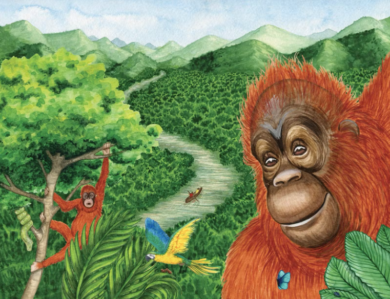 Buddy's Rainforest Rescue