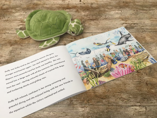 Duffy - Turtle Teddy