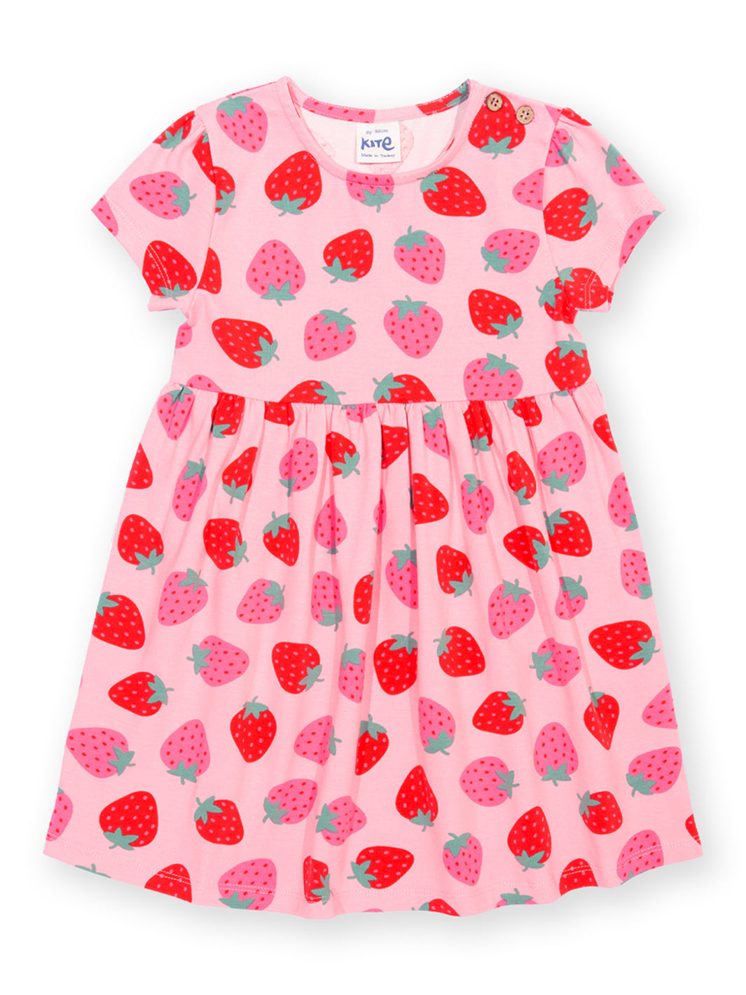 Berry Brave Dress