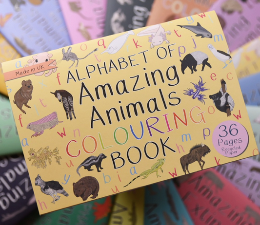Alphabet of Amazing Animals Colouring Book