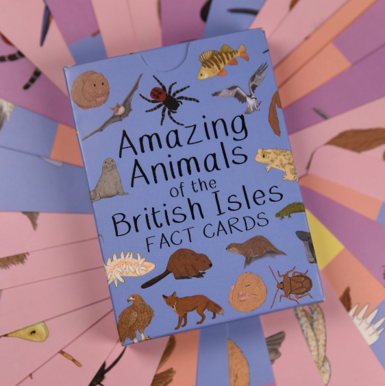 Amazing Animals of the British Isles Fact Cards