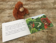 Buddy - Orangutan Teddy