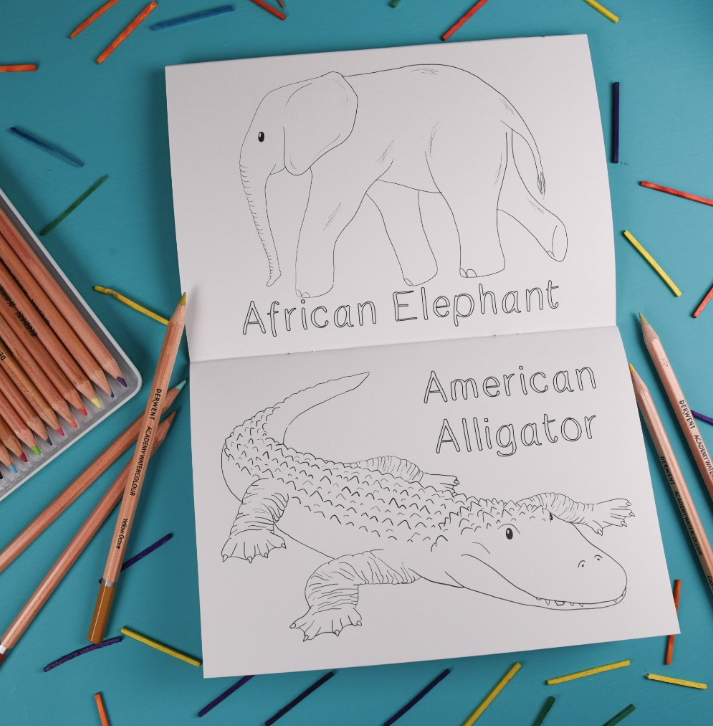 Amazing Animal Families Colouring Book