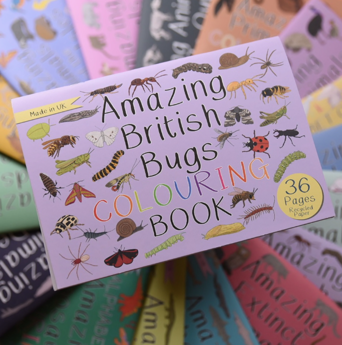 Amazing British Bugs Colouring Book