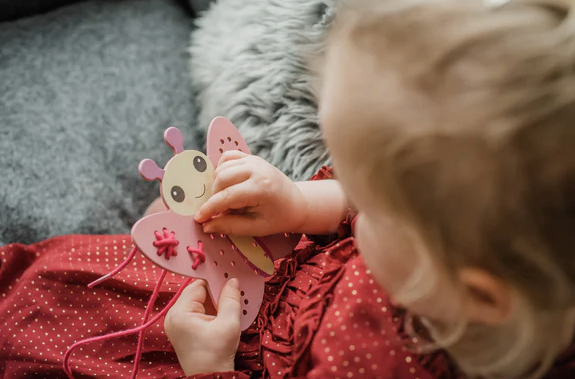 Butterfly Stitching Kit