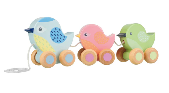 Pull Along Wooden Birdies