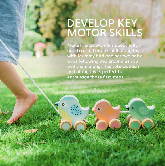Pull Along Wooden Birdies
