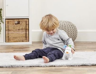 The Snowdog Bean Toy