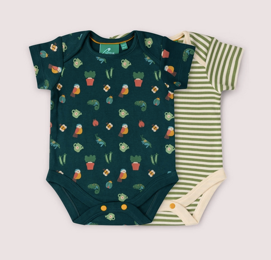 Spring Garden Bodysuit 2 Pack