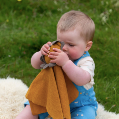 Golden Lion Organic Comforter