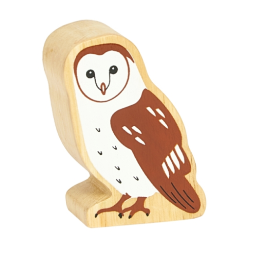 Brown Owl