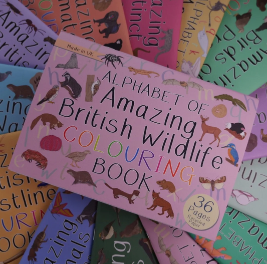 Alphabet of Amazing British Wildlife Colouring Book