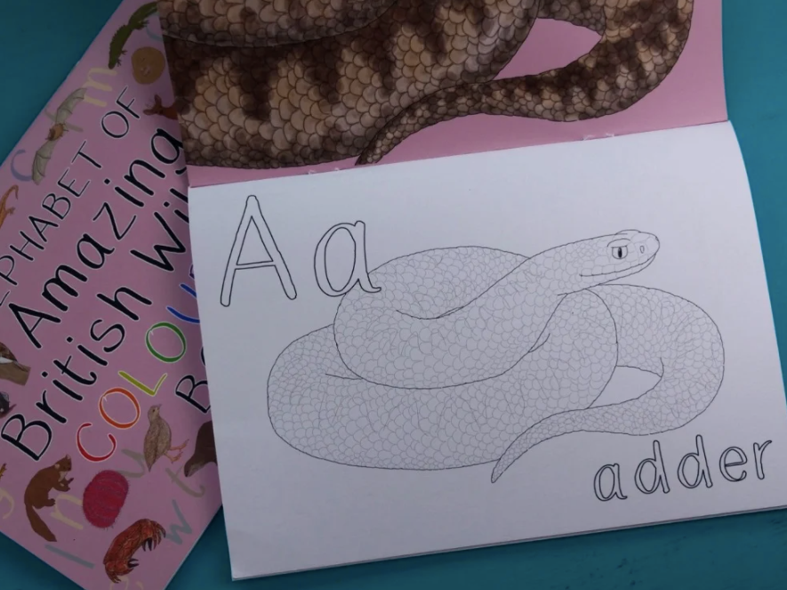 Alphabet of Amazing British Wildlife Colouring Book