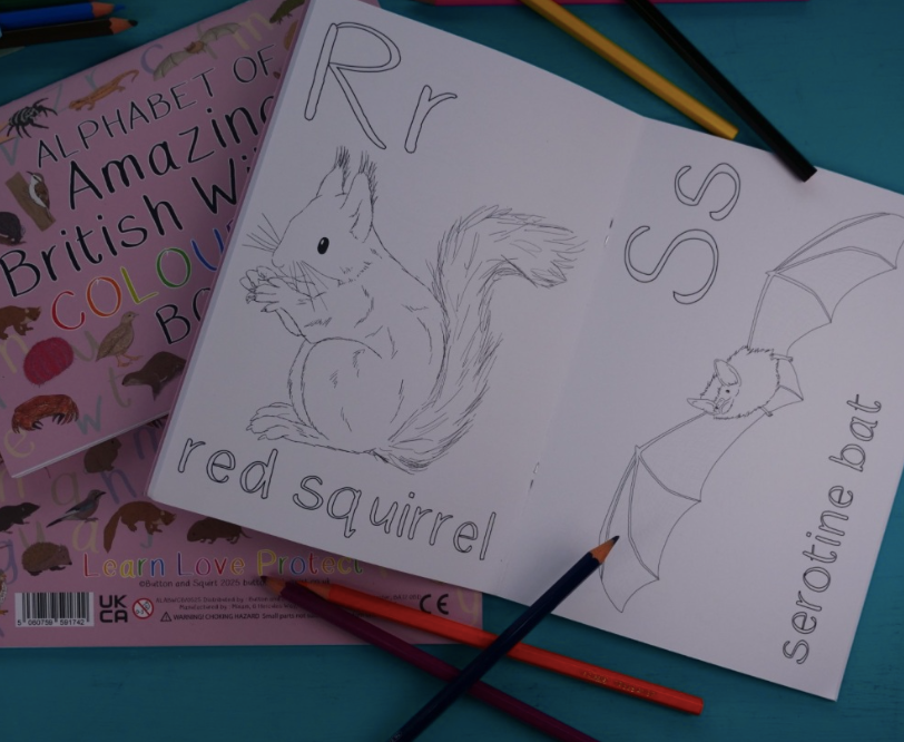 Alphabet of Amazing British Wildlife Colouring Book