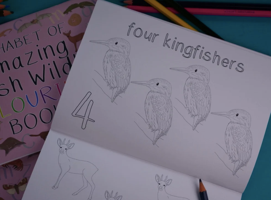 Alphabet of Amazing British Wildlife Colouring Book