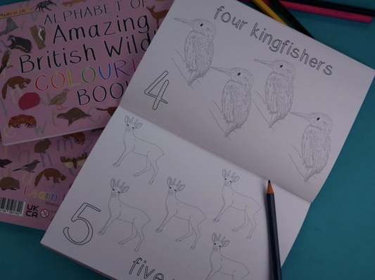 Alphabet of Amazing British Wildlife Colouring Book