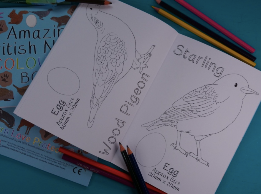 Amazing British Nature Colouring Book