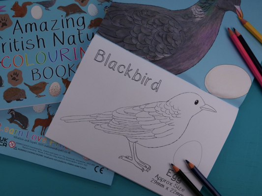 Amazing British Nature Colouring Book