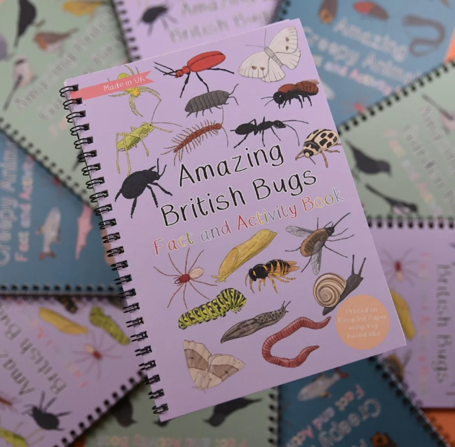 Amazing British Bugs Fact and Activity Book