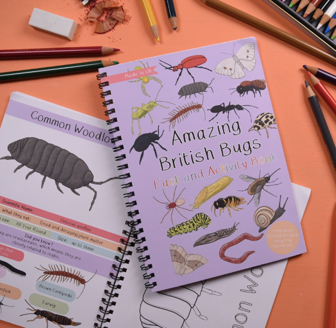 Amazing British Bugs Fact and Activity Book