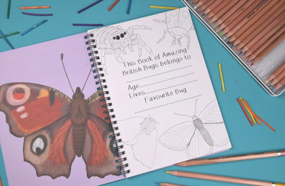 Amazing British Bugs Fact and Activity Book
