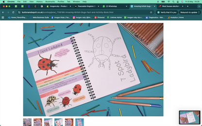 Amazing British Bugs Fact and Activity Book